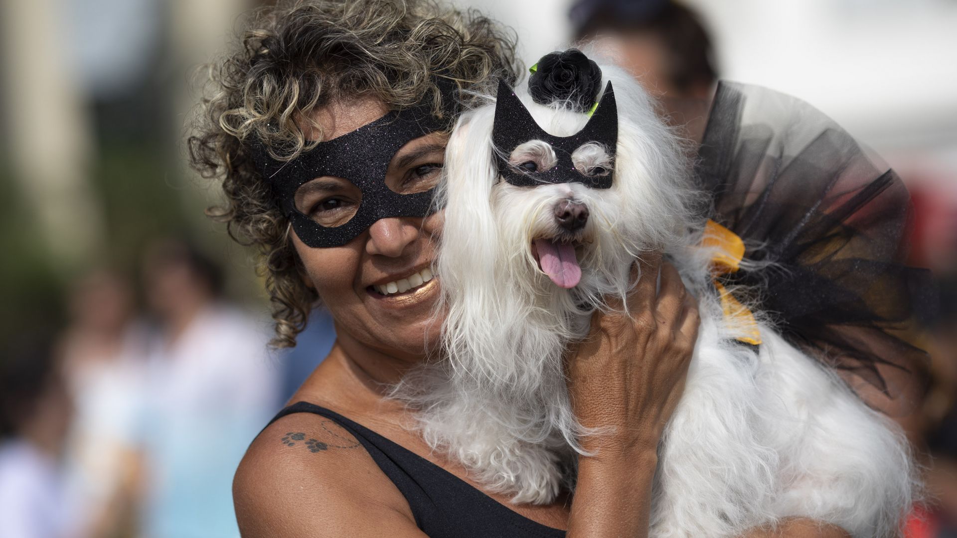 Маскирани кучета дефилираха в Рио преди карнавала (снимки)