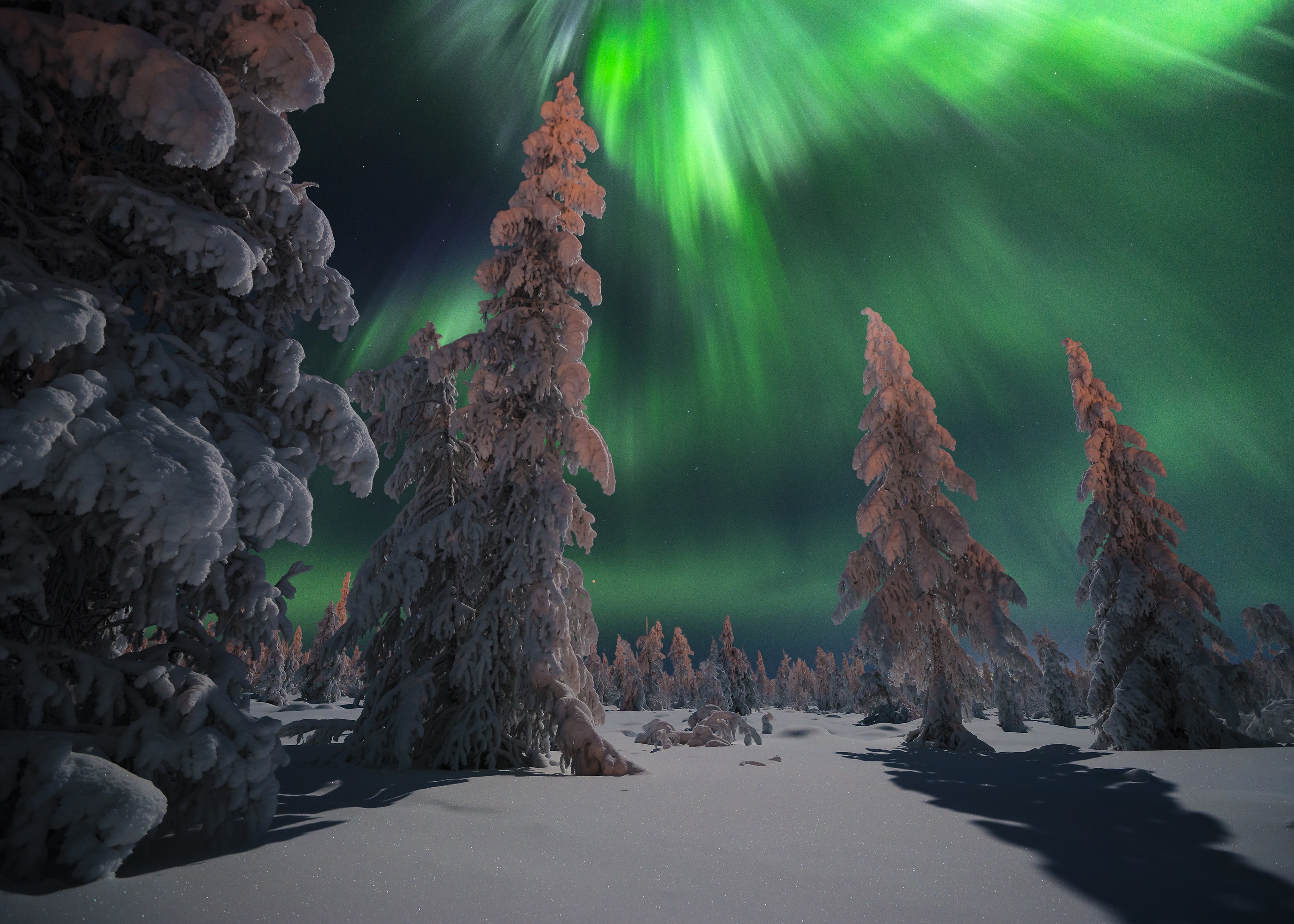 Какво е да живееш на най-мразовитото място в Русия? (снимки)