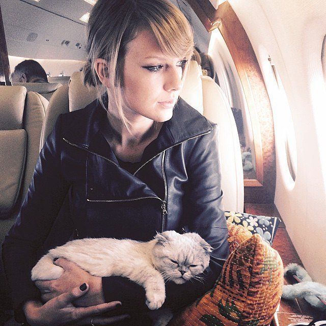 Тейлър Суифт и котката ѝ Мередит Грей