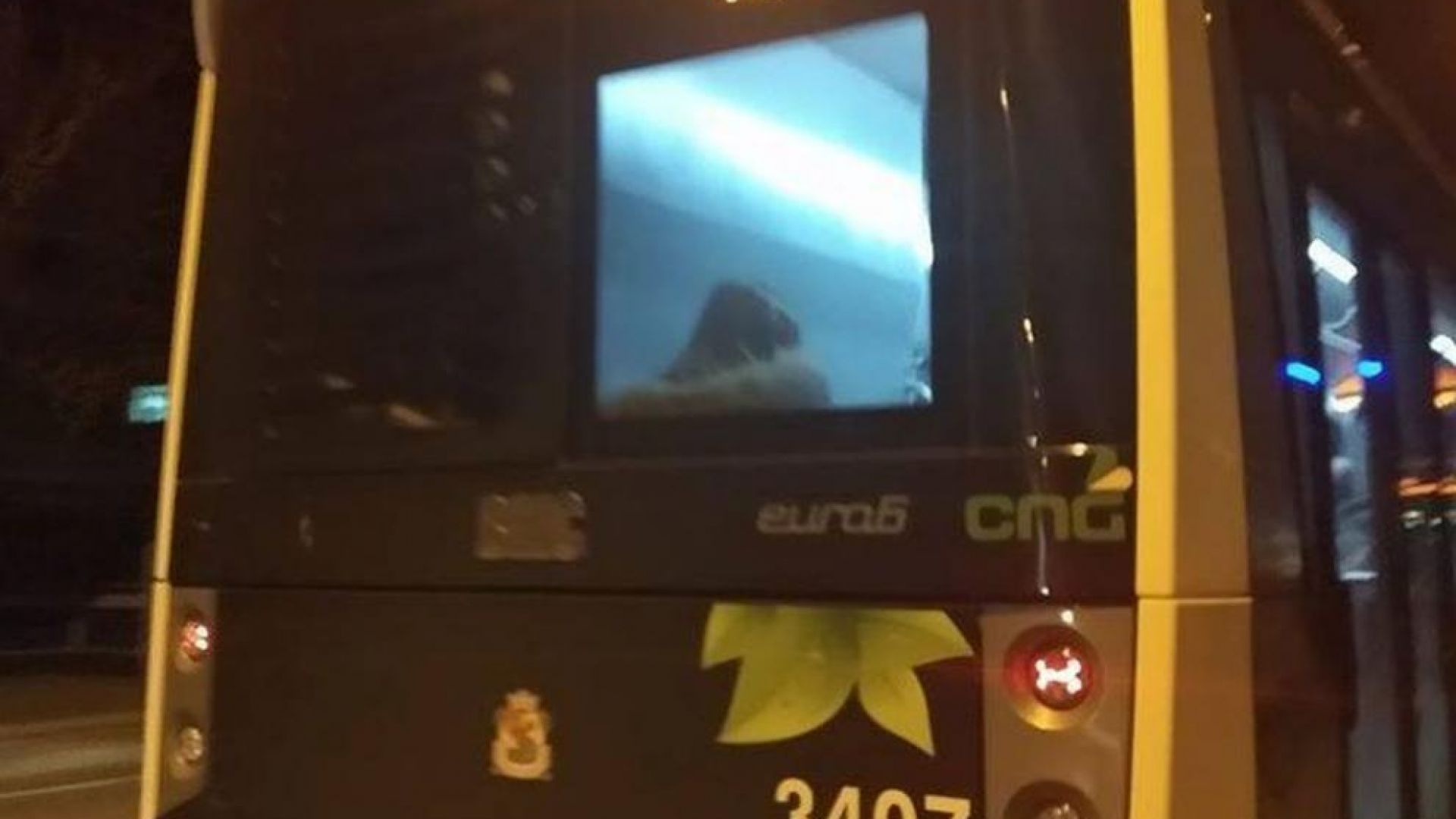 Брутално нападение: Обраха до голо ученик в столичен автобус