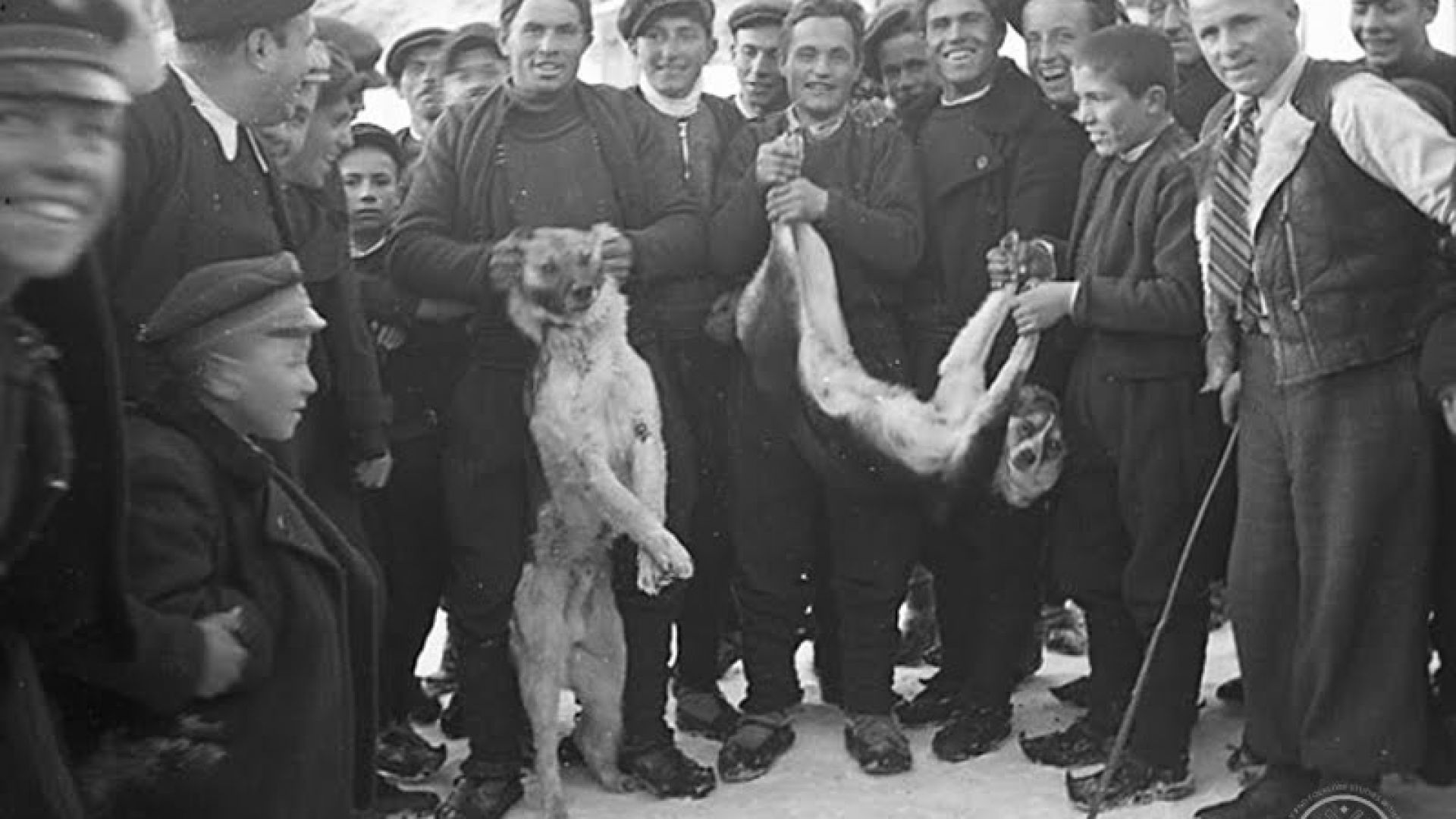 Първата седмица след Сирни заговезни българите наричат Тодоровска Тудорска неделя