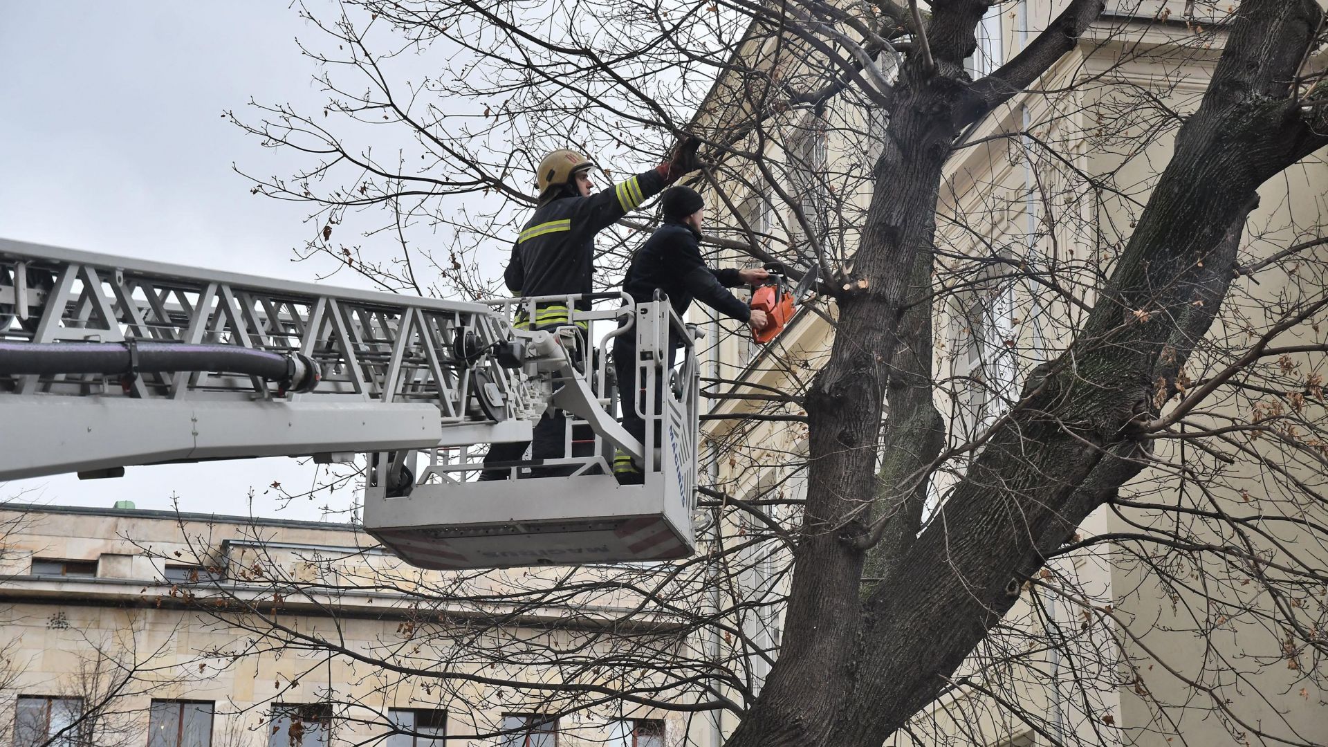 Счупени клони от силния вятър станаха причина да бъде орязано