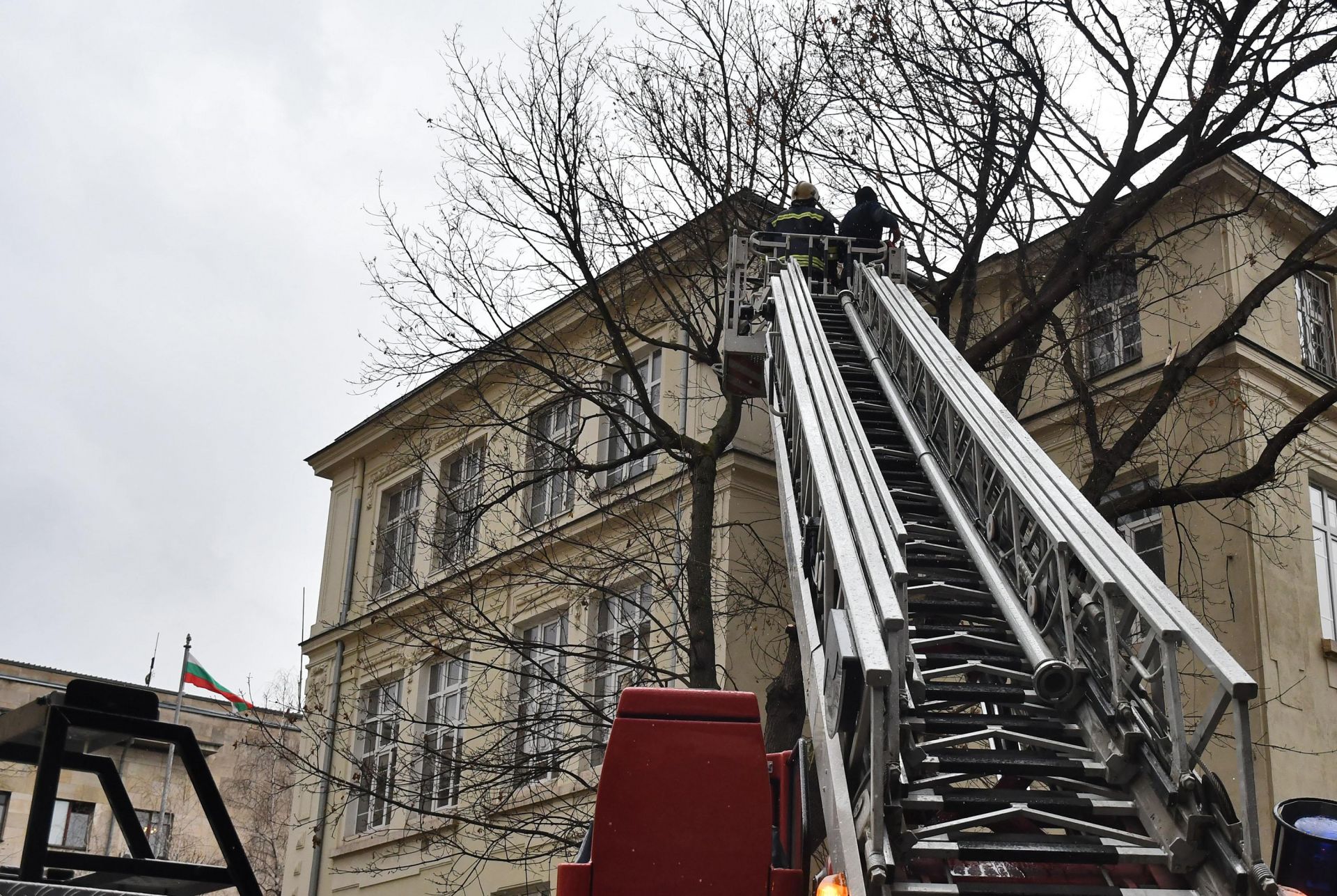Пожарникари окастрят опасните клони на дървото в столичното училище