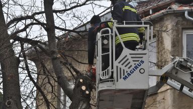 На 50 сигнала за счупени клони и дървета са реагирали