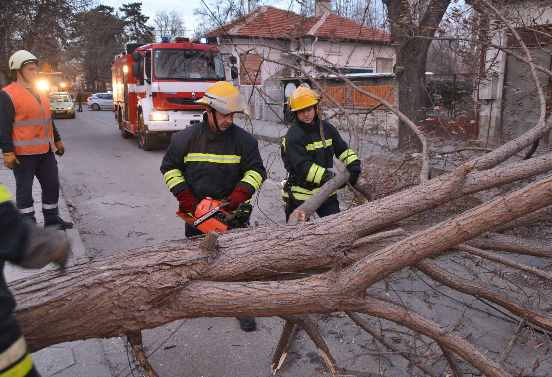 Пожарникари режат падналото дърво в Хасково