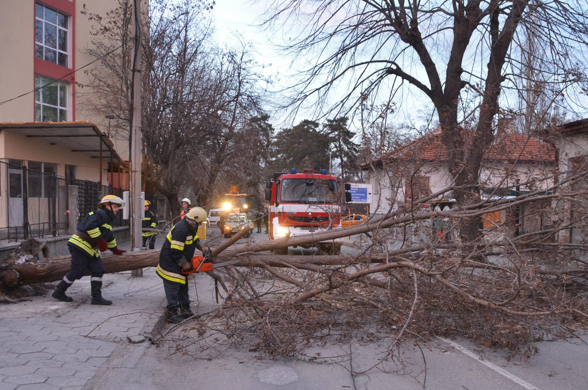  Силен вятър събори дърво в Хасково 