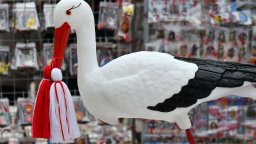 Февруари в ролята на март: 18 градуса в неделя, леден вятър и сняг след това