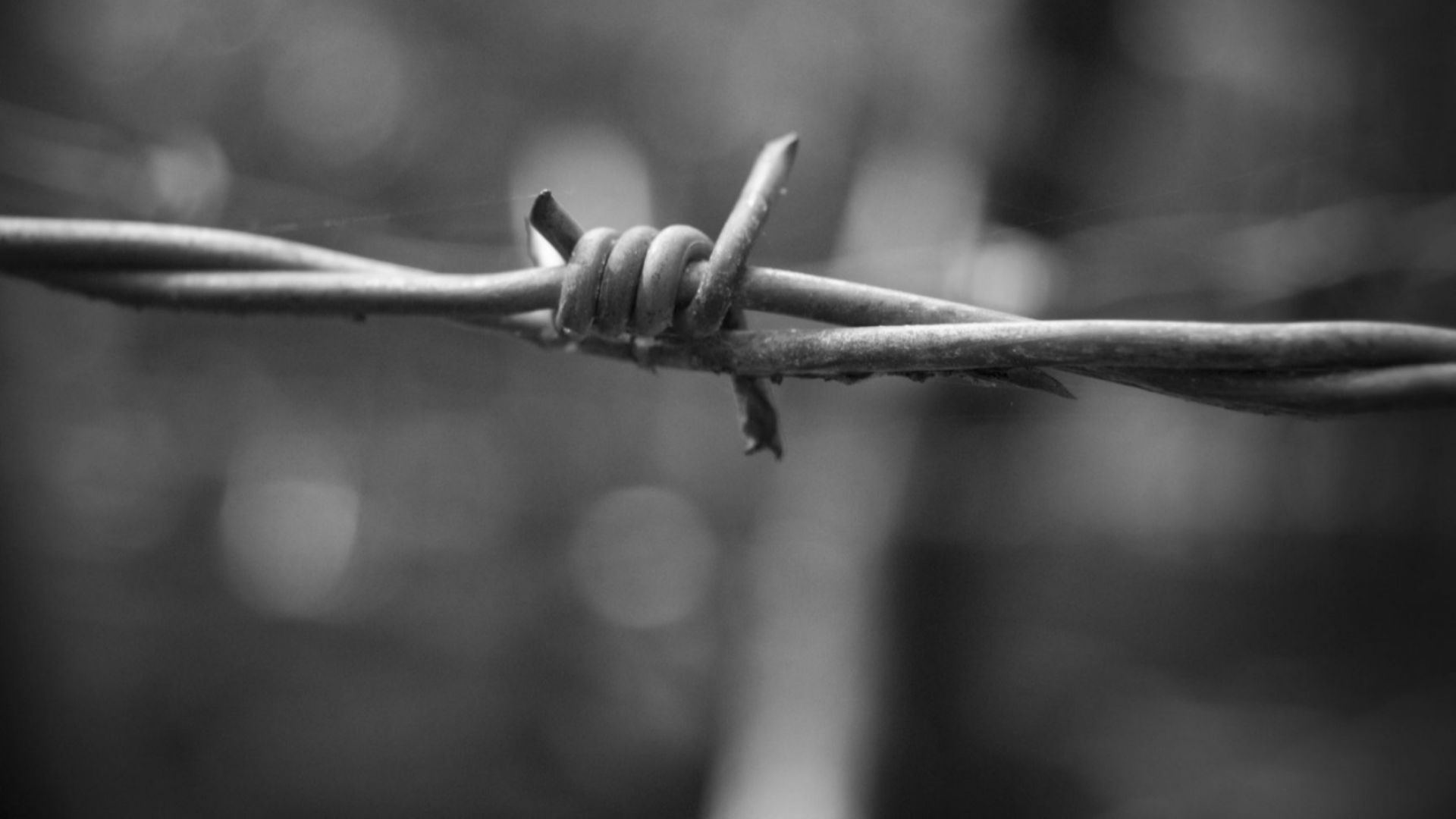 На гарата ни наблъскаха в един товарен вагон за добитък