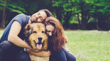 Двойките, които заедно отглеждат куче, са по-щастливи