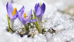 Без промяна на времето още 2-3 дни, после идват застудяване, дъжд и сняг