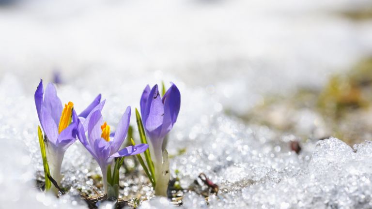 Без промяна на времето още 2-3 дни, после идват застудяване, дъжд и сняг