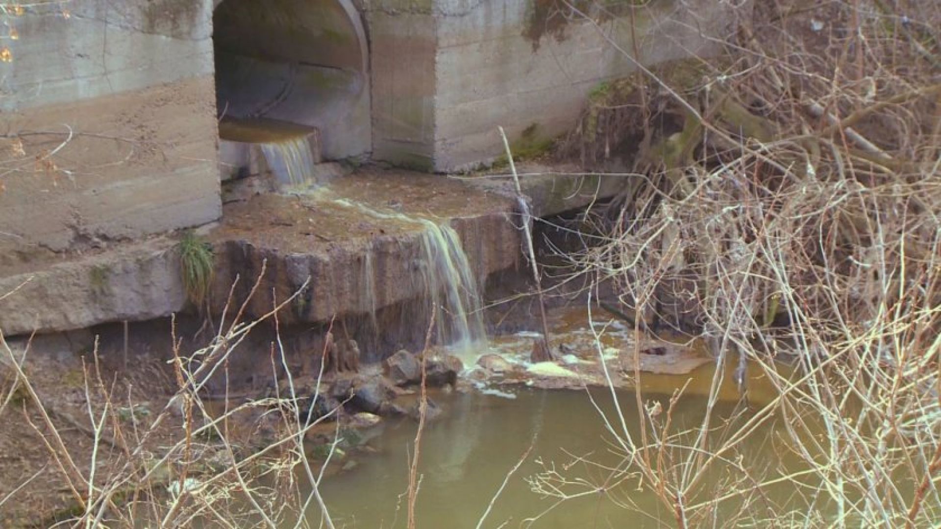 Русенска фирма замърсява водите на река Русенски Лом която се