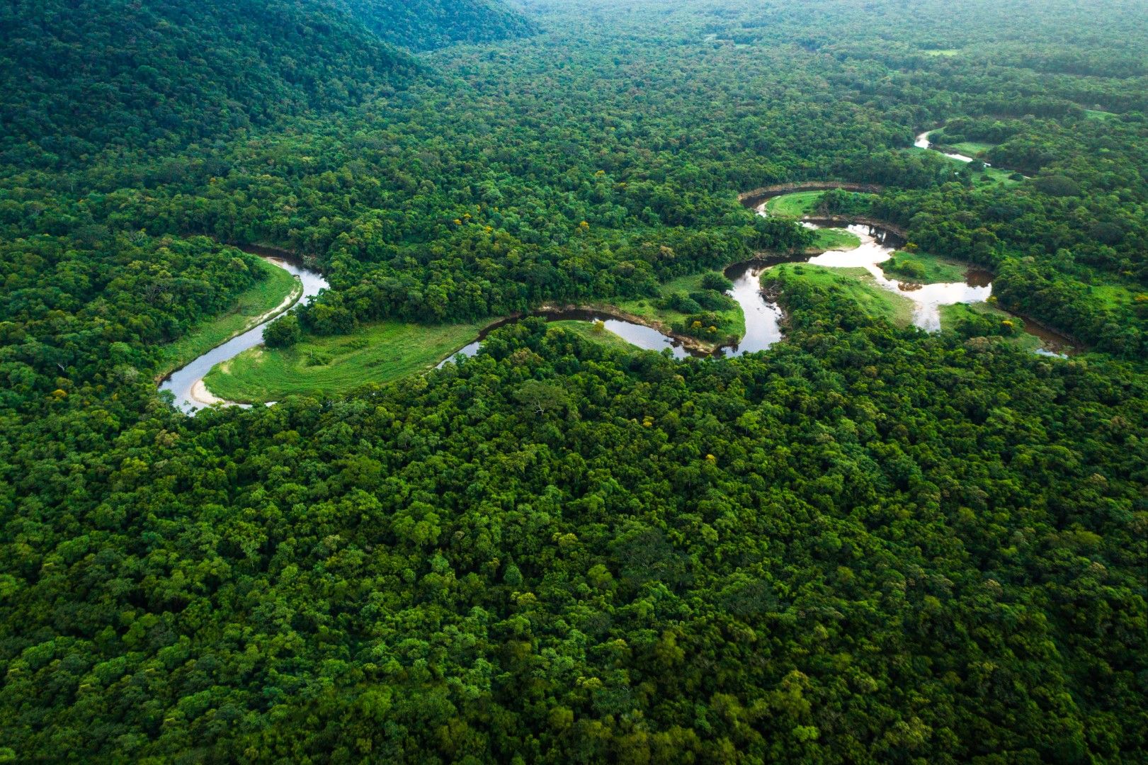 Учени откриха пряка връзка между обезлесяването и намалените валежи в съответните региони