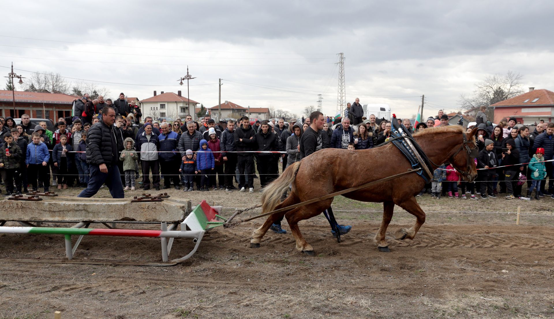С теглене на товар бе отбелязан празникът на коневъдството и на конния спорт Тодоровден в Костинброд