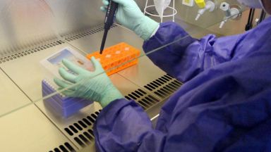 Руската държавна лаборатория Вектор съобщи че започва изследвания на вируси