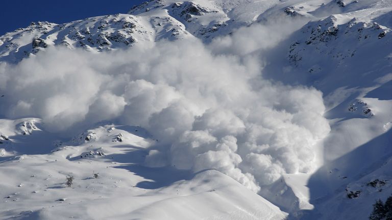 Avalanches in the French Alps killed seven people