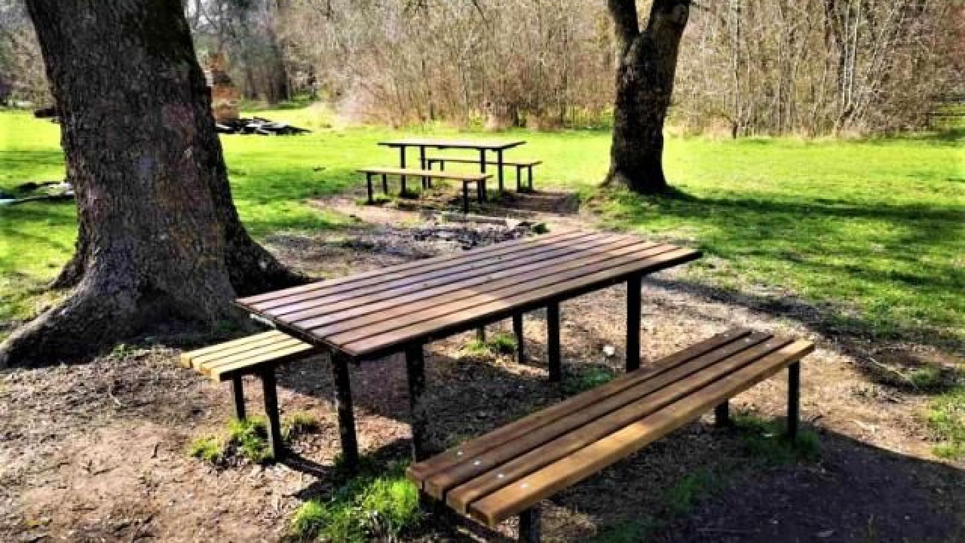 Община Бургас започна поетапно обновяване на пикник зоните в парк