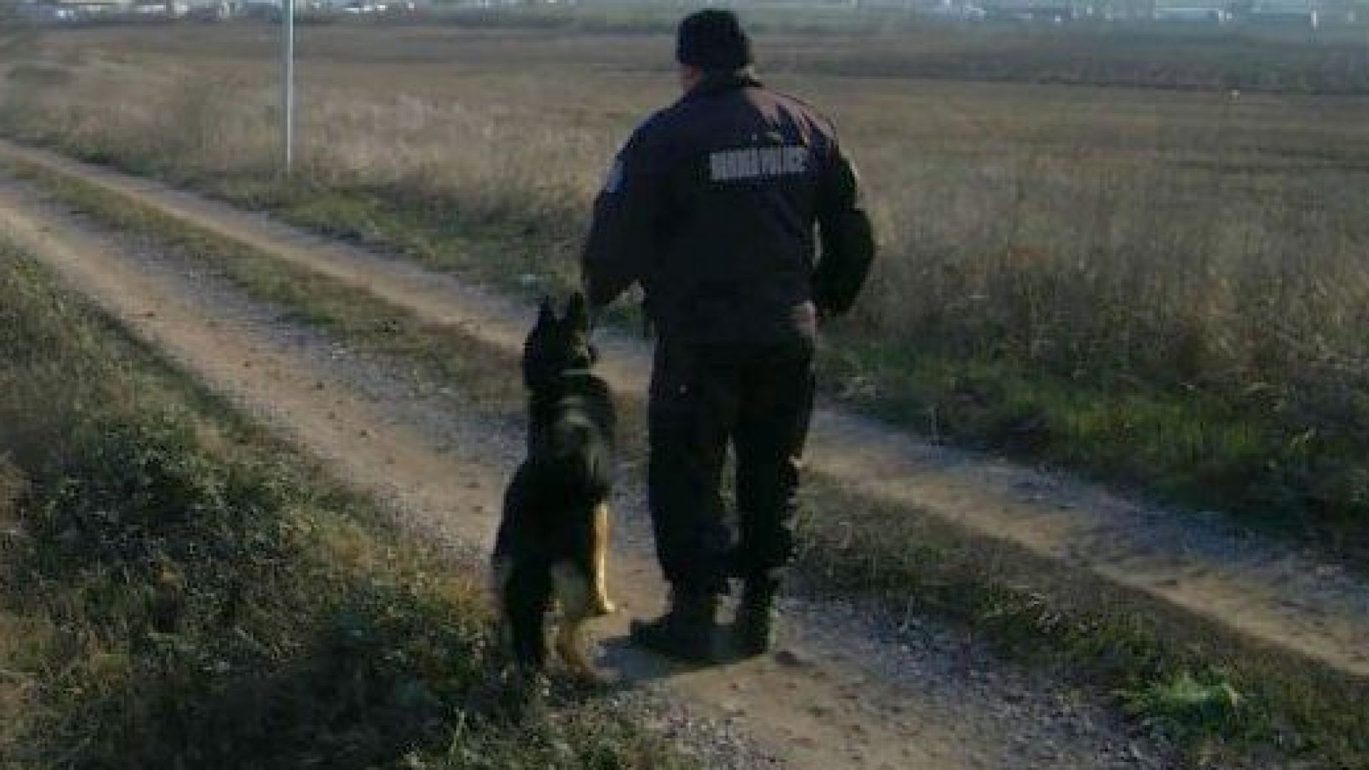 40 полицаи с кучета гониха из Родопите избягал затворник