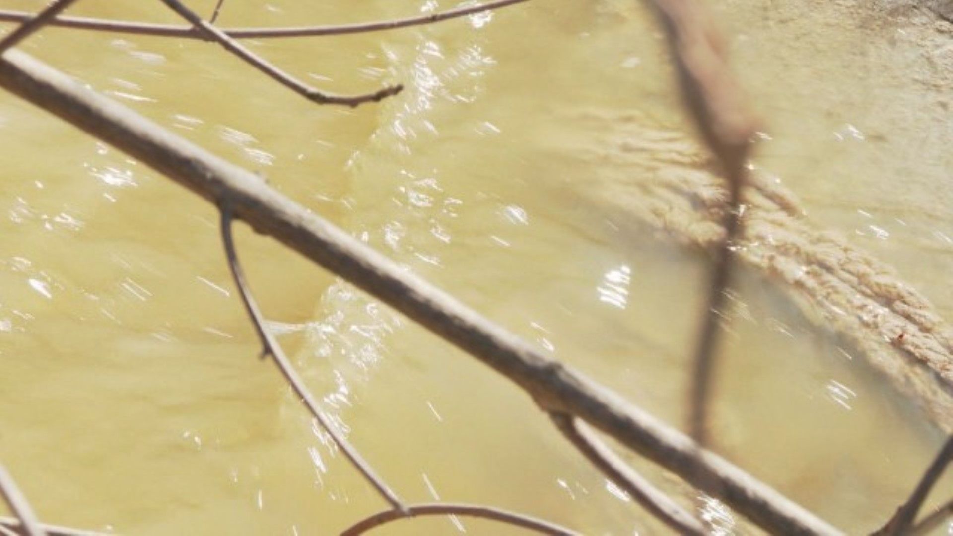 Изтичането на отпадни води във Варненското езеро е преустановено съобщи