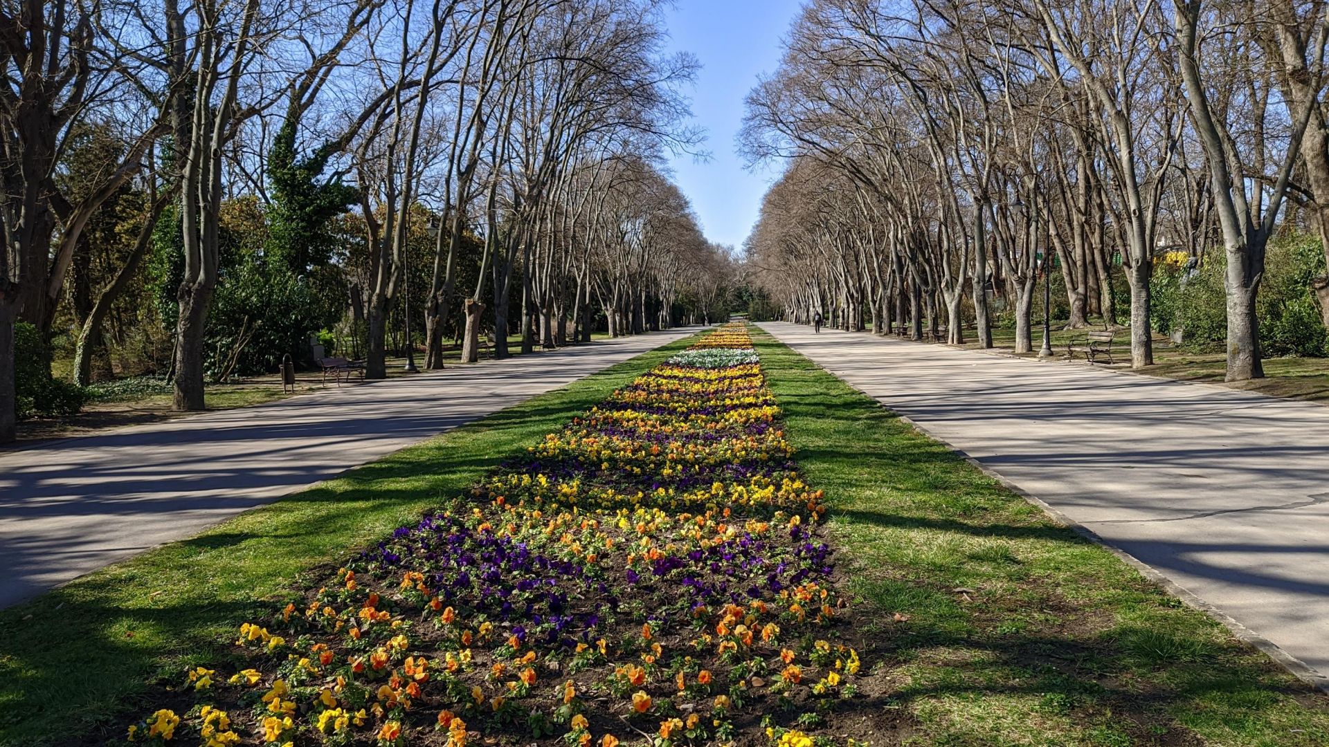 За няколко часа служители на Общинска полиция глобиха 23 ма нарушители