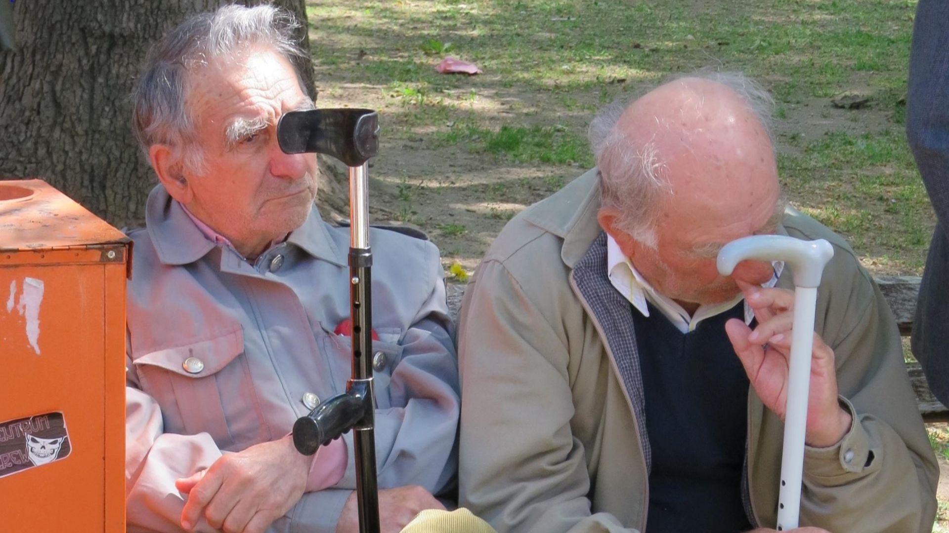 Всички настанявания в специализираните институции и социалните услуги от резидентен