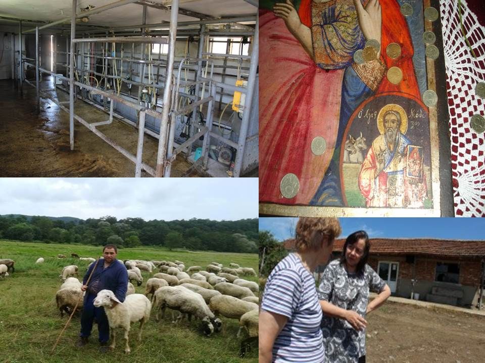 Учените от БАН изследват на терен последиците от шапа в Странджа