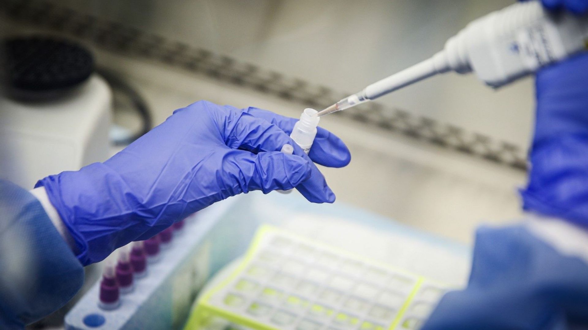 Канадската биофармацевтична компания Medicago базирана в канадската провинция Квебек обяви