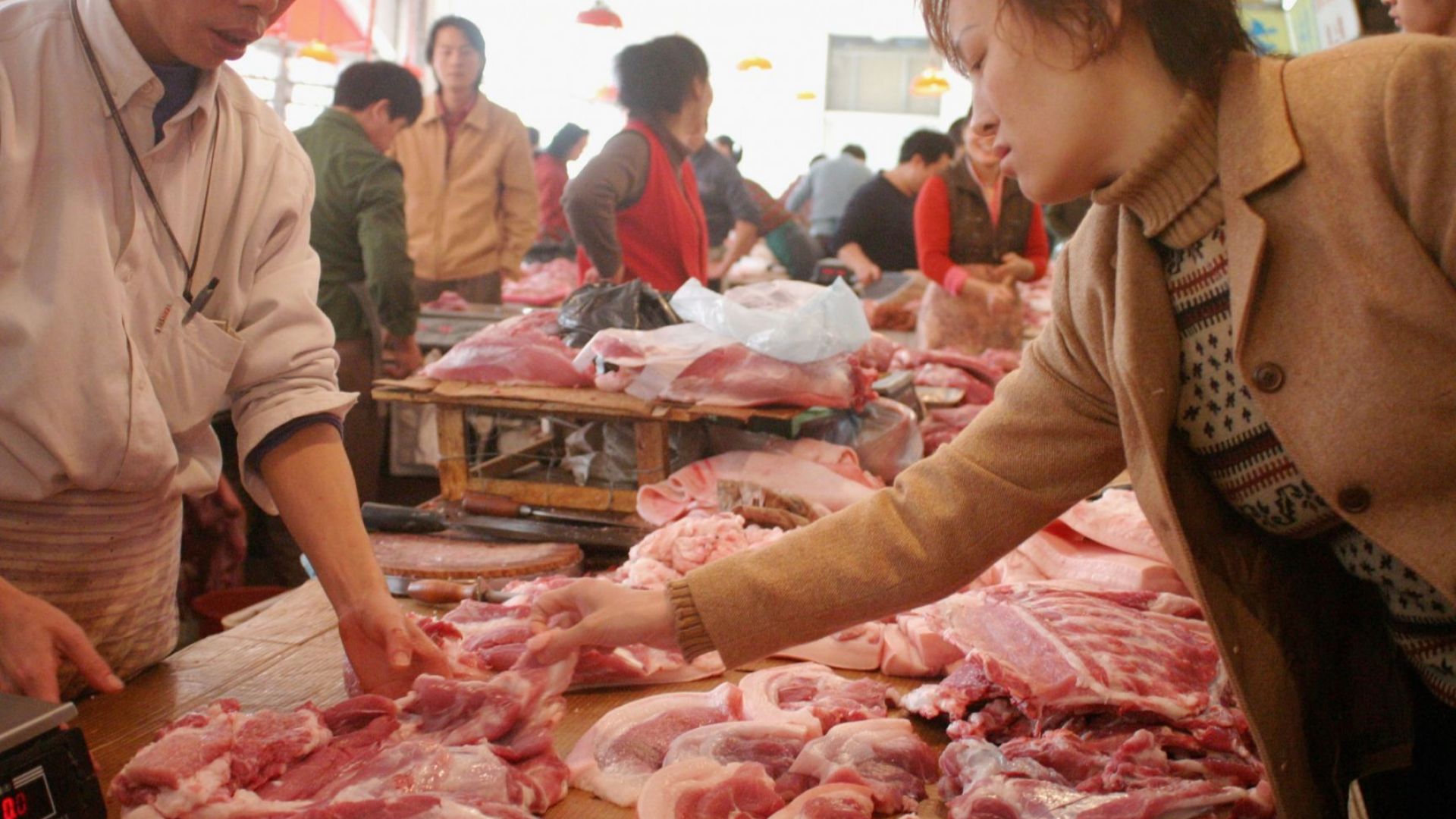 Който пусне на пазара храни от животински произход за които