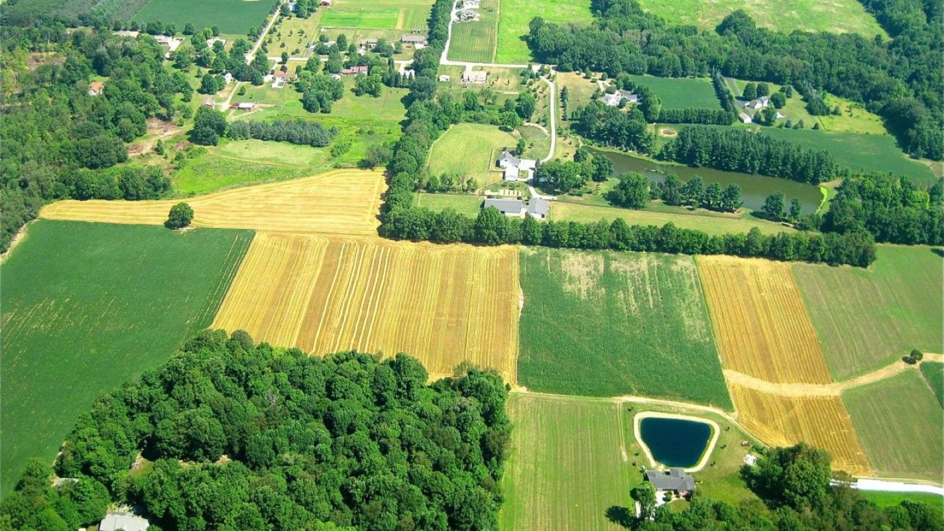 Българското селско стопанство бе тежко ударено от кризата с коронавируса