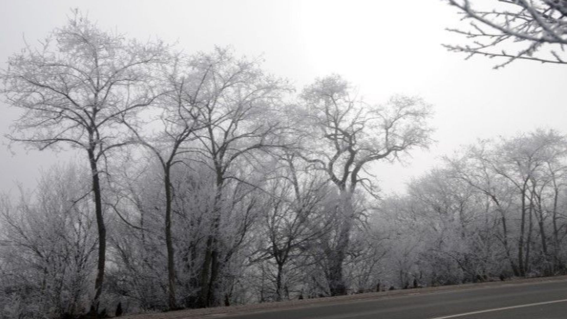 Земеделските стопани които имат ниви овощни градини лозя оранжерии и