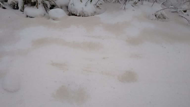Мръсен сняг покри Северна България