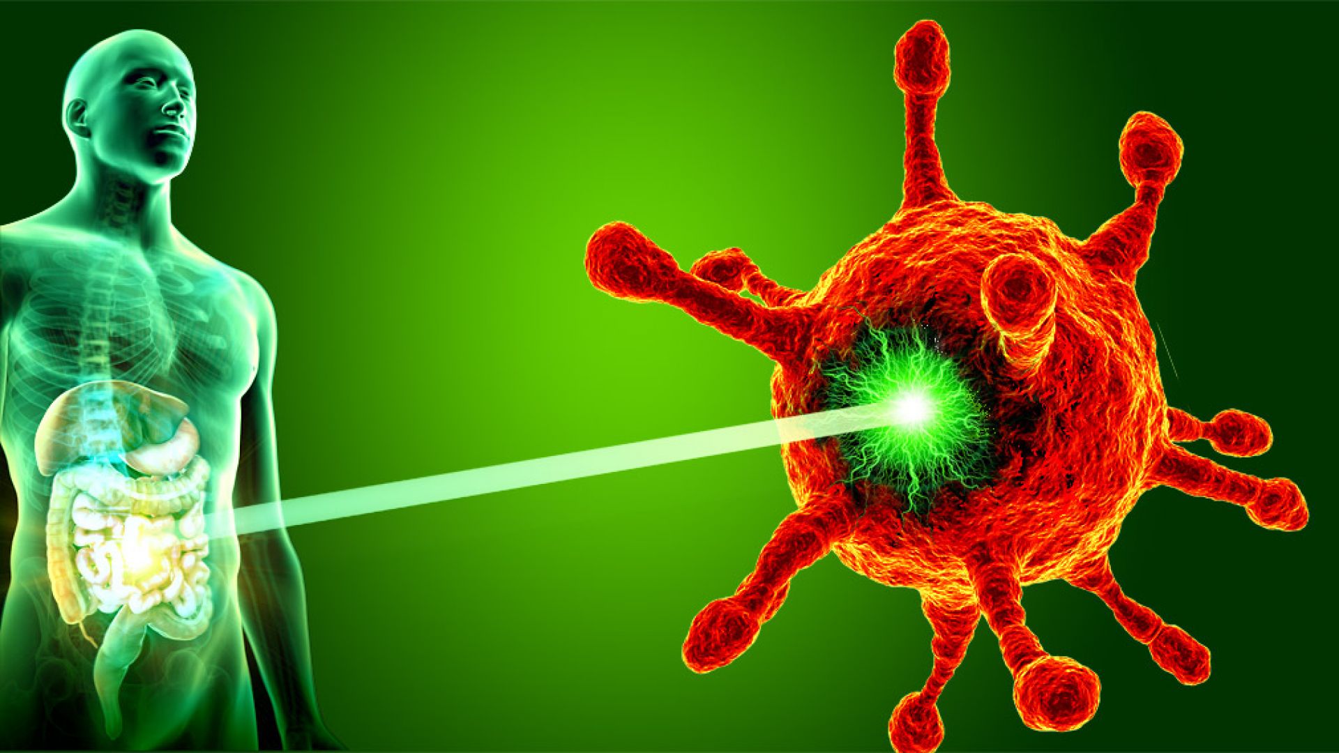 Ответният удар срещу вирусите