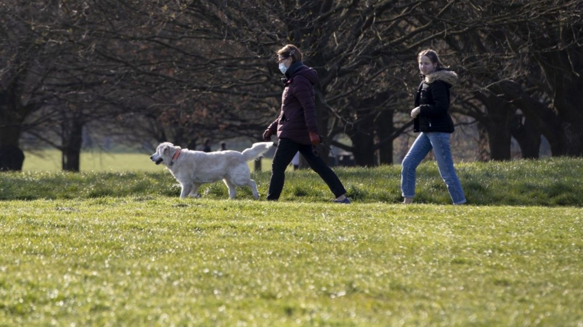 23 акта за нарушение на забраната за преминаване през паркове