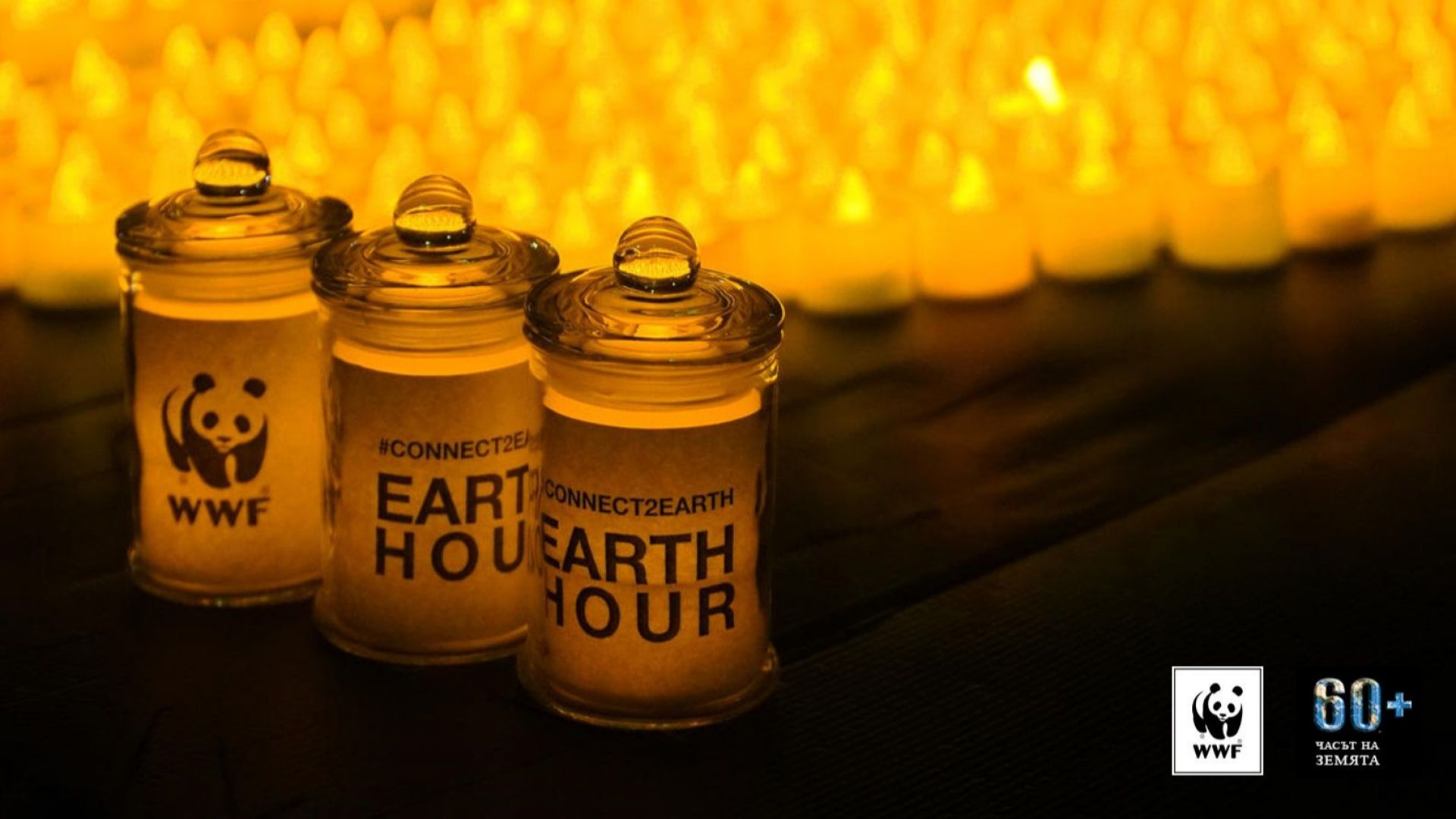 И тази година Часът на Земята обедини десетки хиляди хора