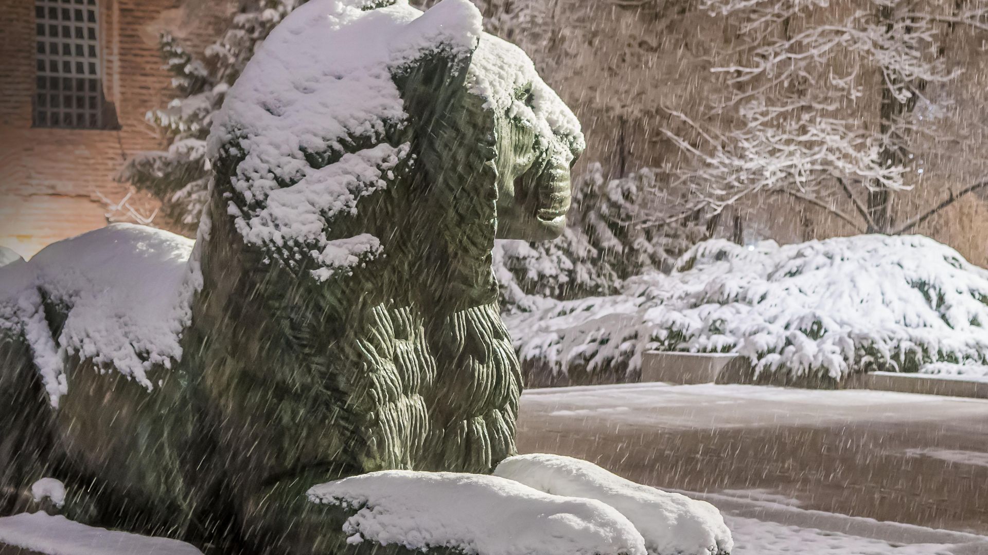 Точно в първите минути на първи април София побеля от