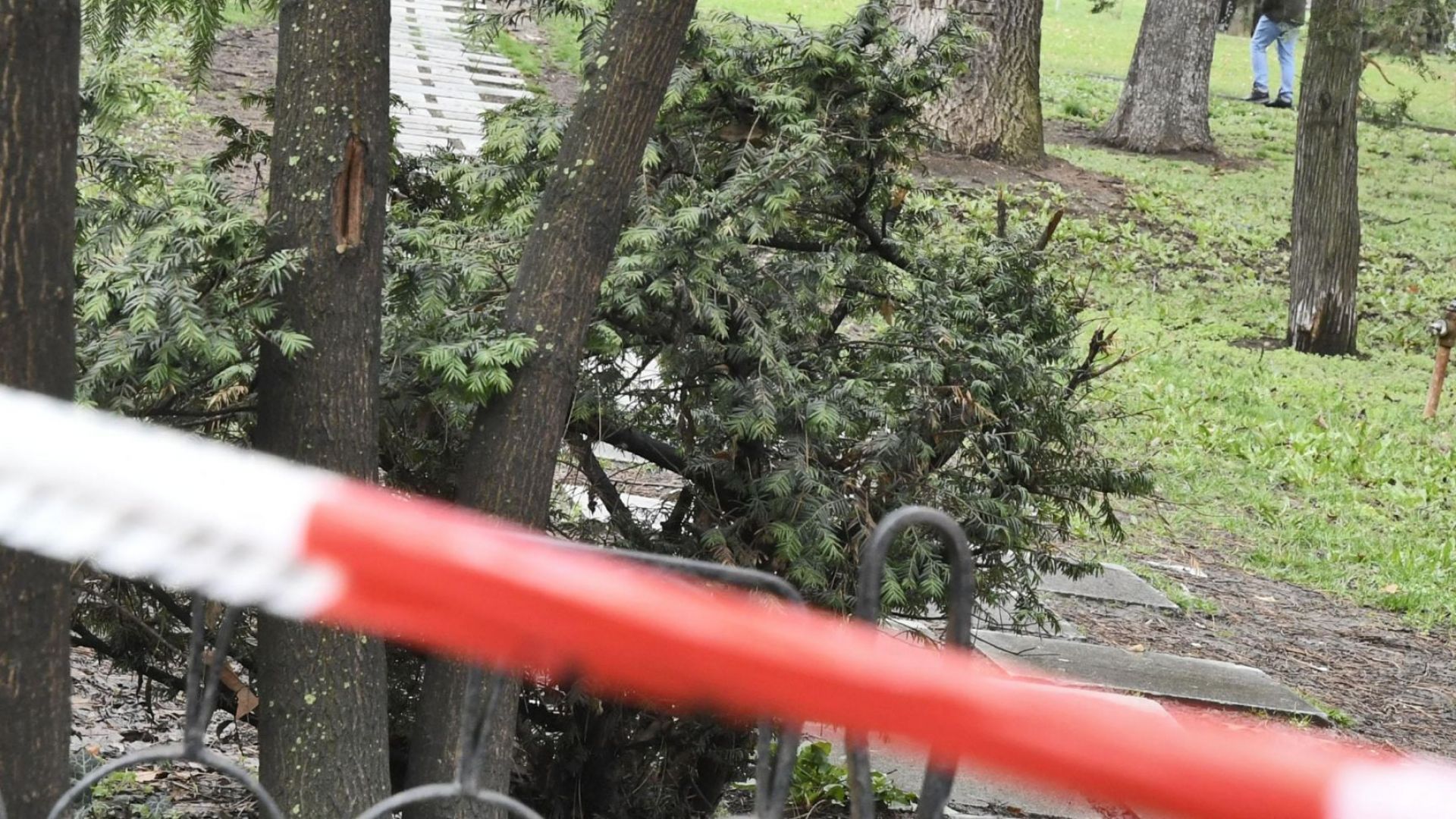 Семейство от Бургас се сдоби с два акта от по