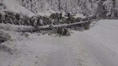 Обявиха бедствено положение в част от Родопите след 80 см сняг (снимки)