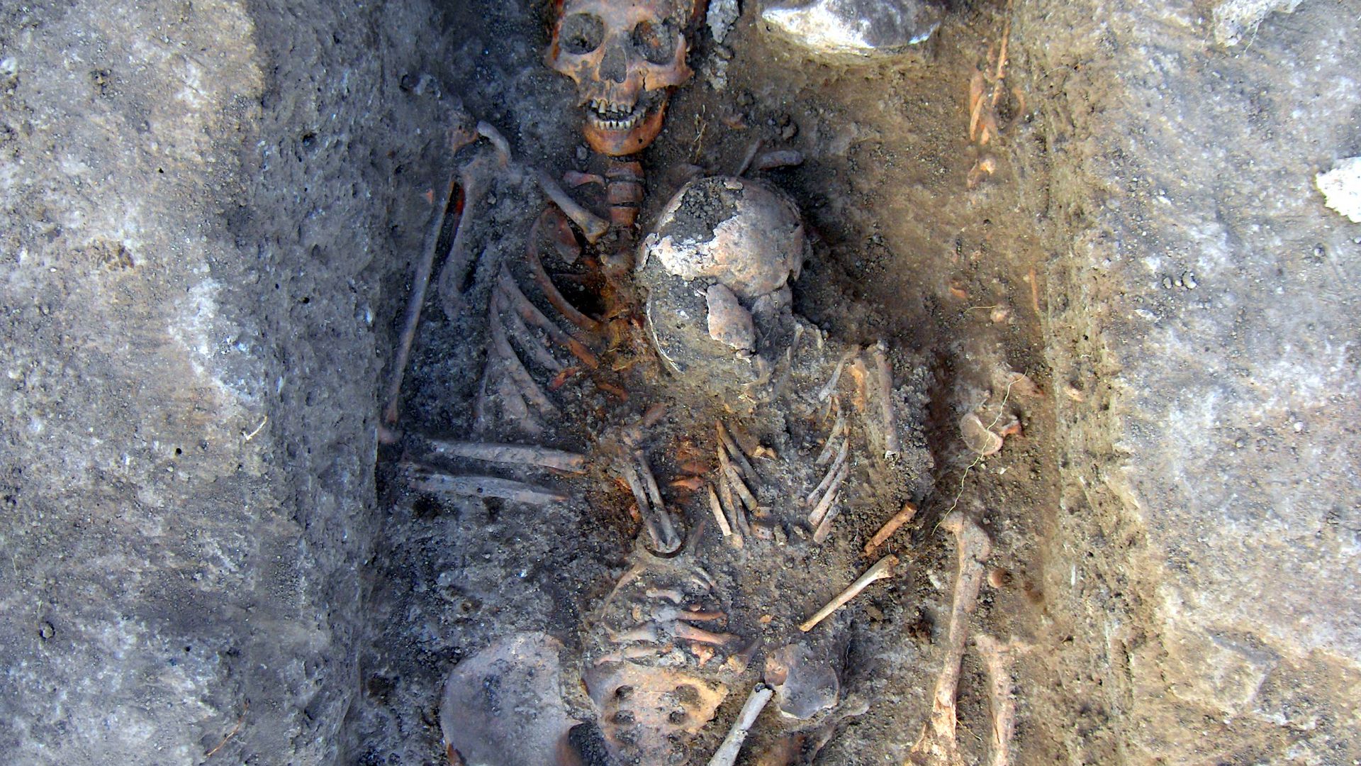 Китайска пандемия загробва България през втората половина на 14 и век