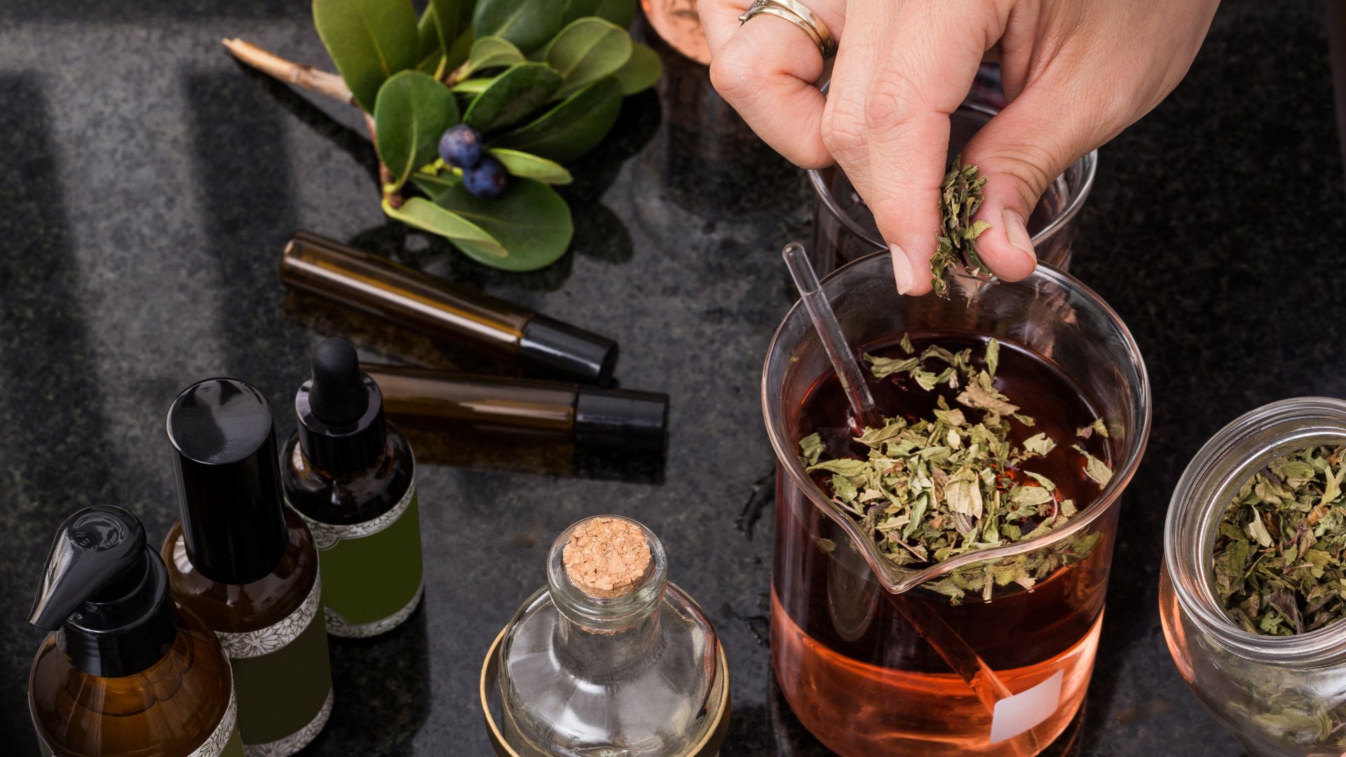 Грижата за здравето е най доброто лекарство гласи японска поговорка Днес