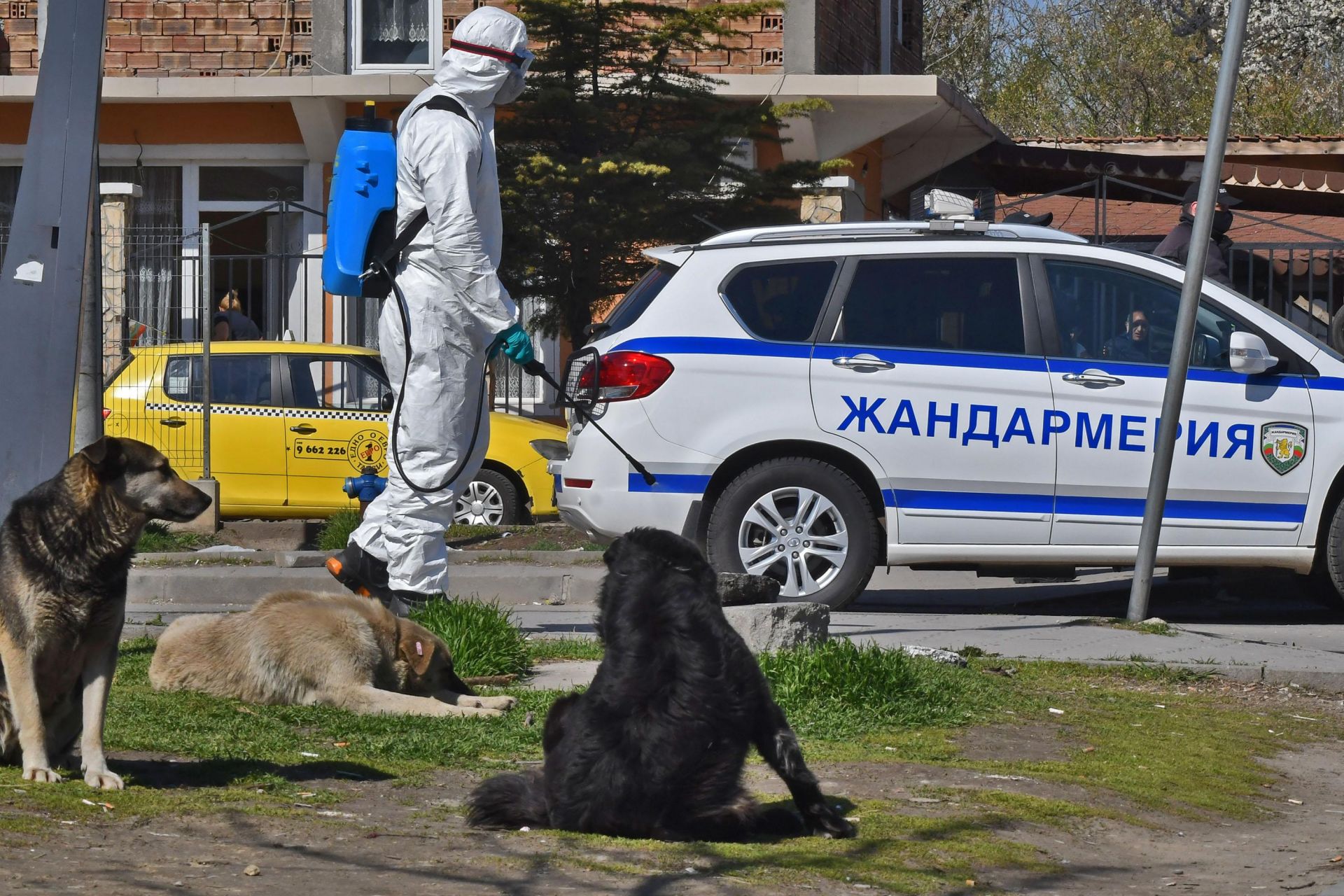 В квартала тече и дезинфекция