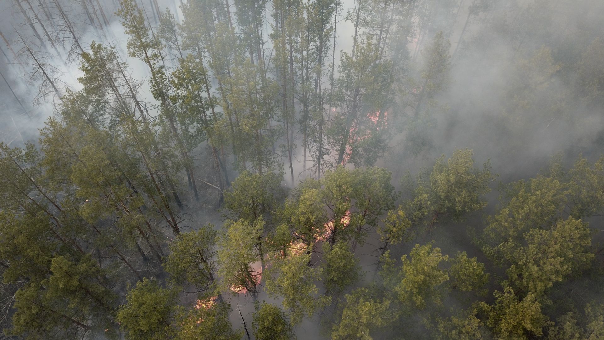 Украинските пожарникари хвърлиха вчера почти 400 тона вода върху горския