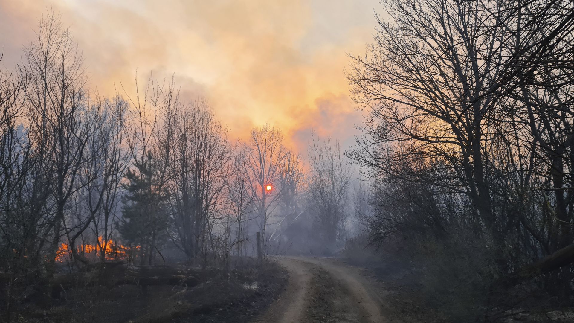 Пожарът в околностите на бившата АЕЦ Чернобил в Украйна окончателно