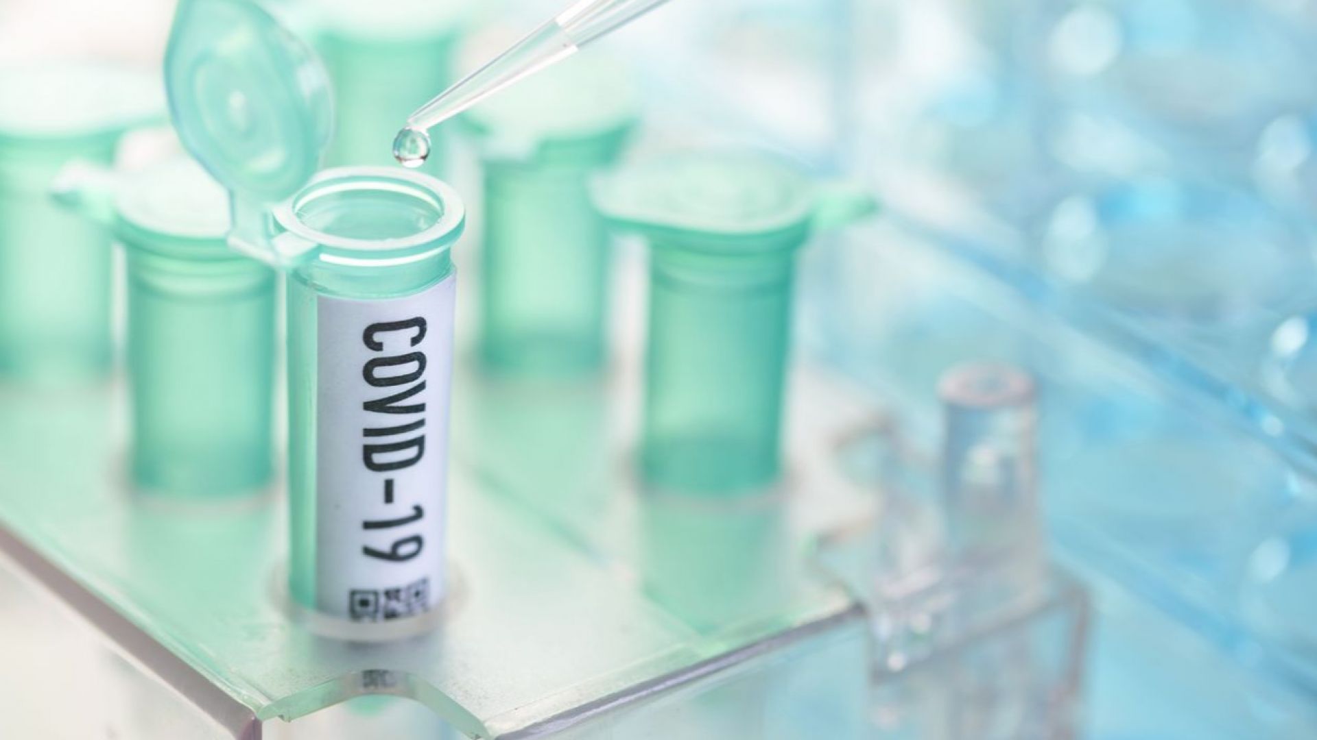 Пикът на зараза с коронавирус в България се очаква да