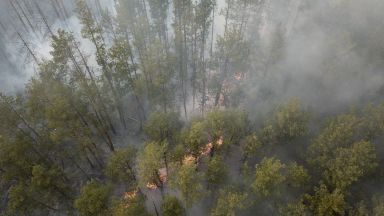 Дим от горящата чернобилска гора се появи над Киев: наистина ли без радиация
