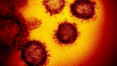 Американски изследователи откриха мутации на коронавируса които му помагат да