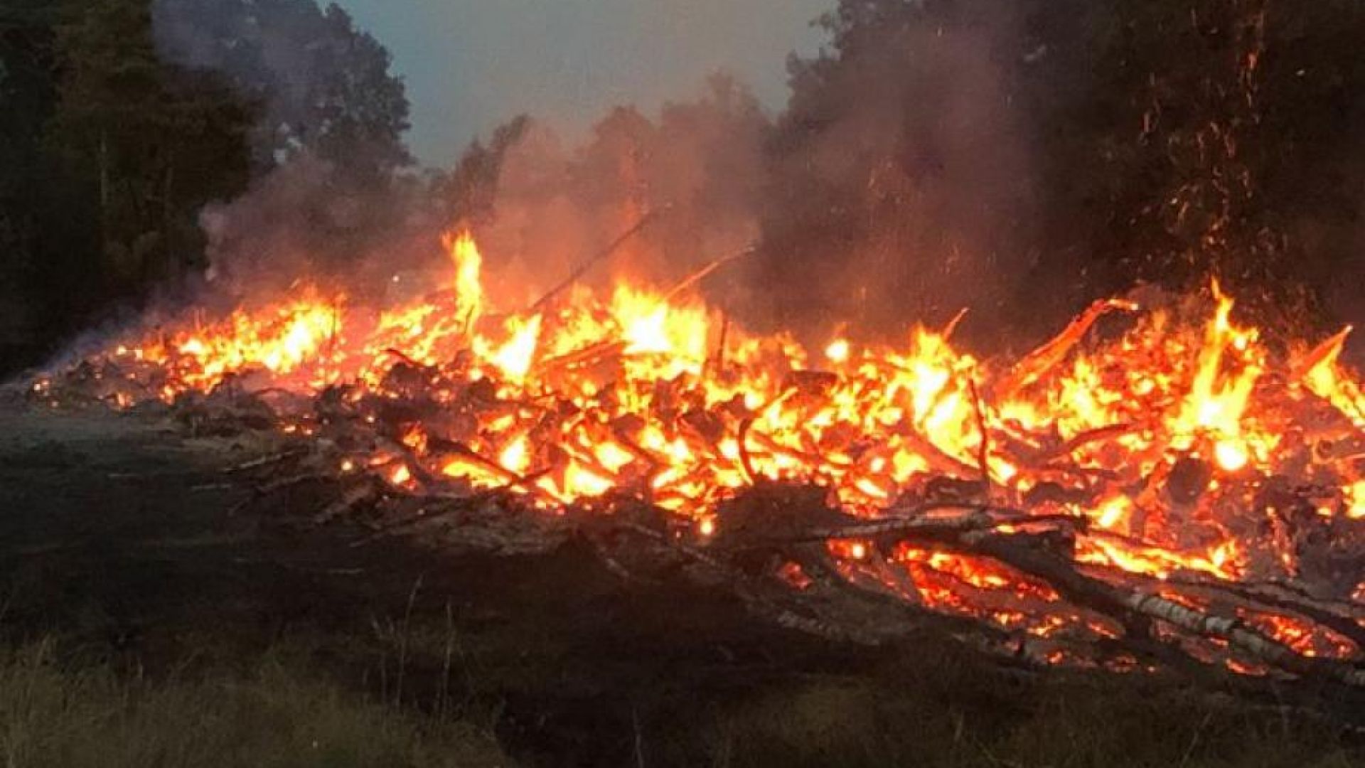 Голям горски пожар по границата между Германия и Нидерландия наложи