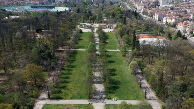 Започна засаждането на 120 сребролистни липи предвидени за Лесопарковата част