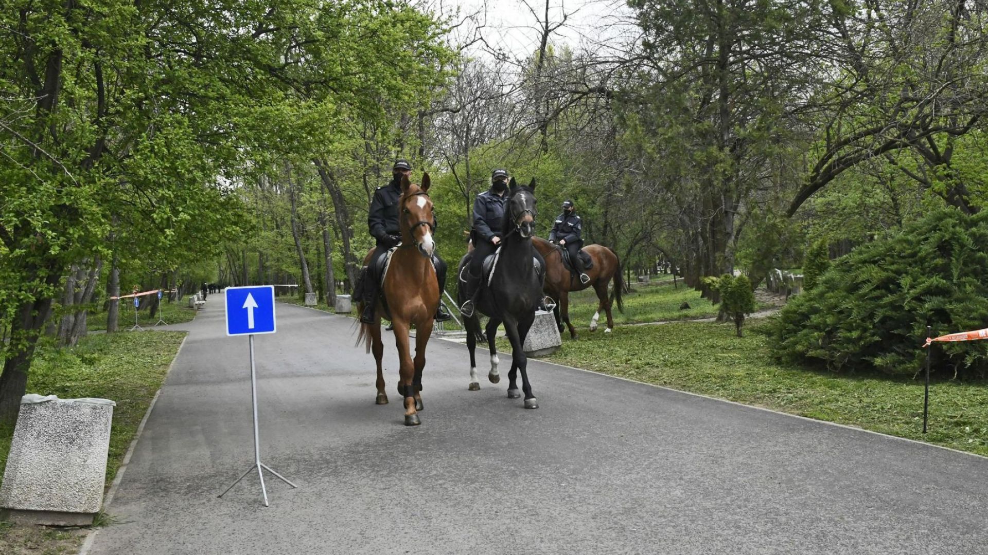 Какво трябва да знаят столичани ако решат да направят разходка