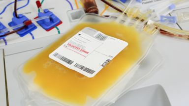 По предложение на председателя на ГЕРБ и министър председател Бойко Борисов