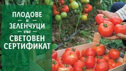 В подкрепа на родното производство LIDL предлага 100 % български розови домати и био краставици в цялата верига магазини